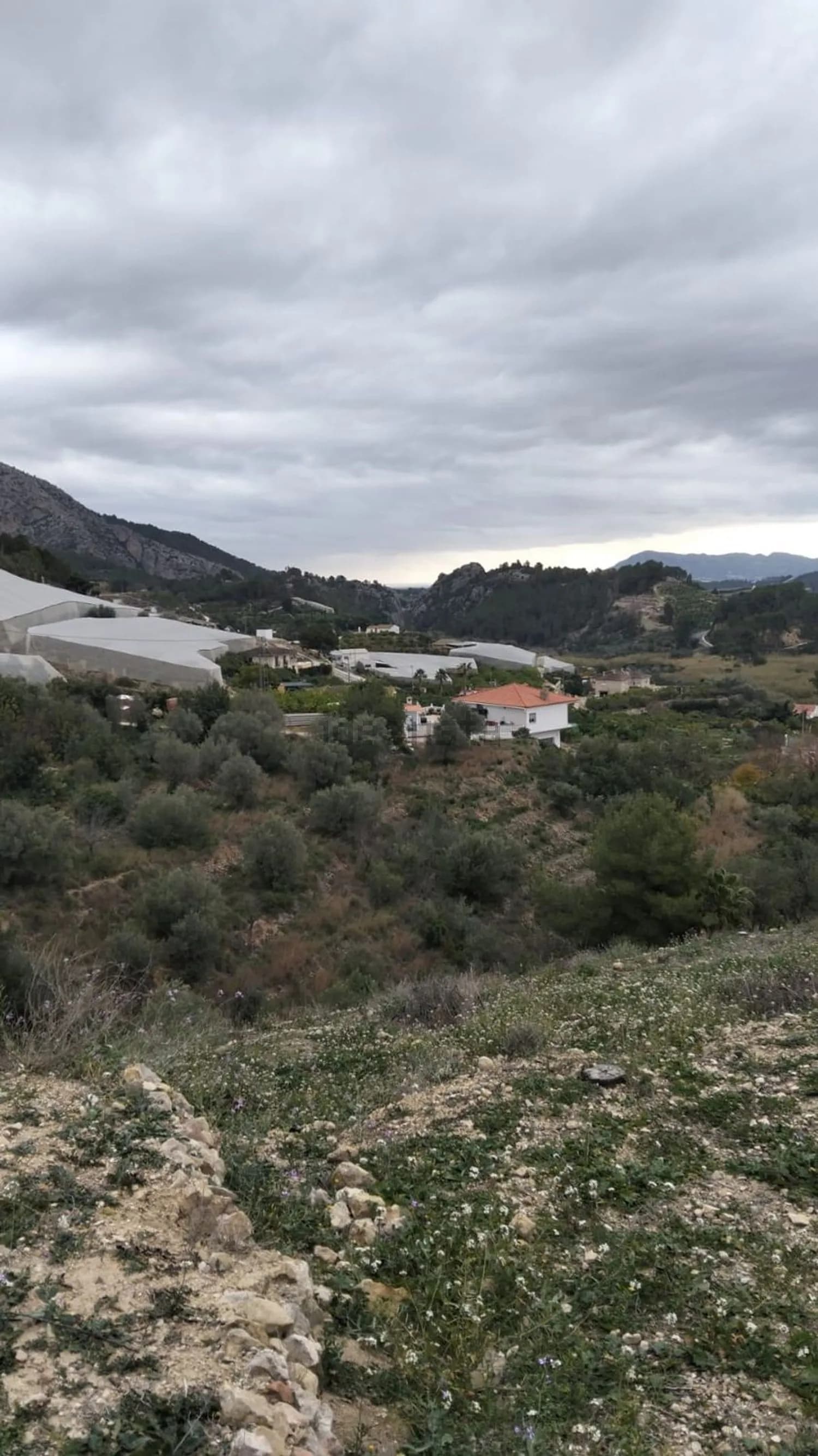 Terreno en venta en Bolulla